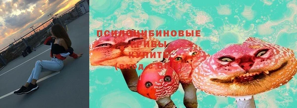 молекула духа Армянск